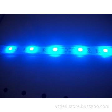 popular 5050 LED Strip Light with good price